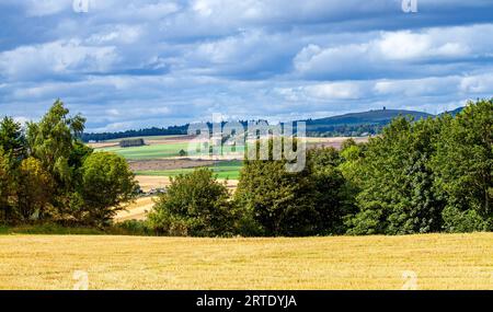 September: Blick auf das Strathmore Valley und die Sidlaw Hills in Dundee, Schottland Stockfoto