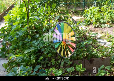 Mehrfarbiges Spinner-Spielzeug, das sich im Garten eines Cottages dreht bunte Windturbine auf einem Hintergrund aus grünen Blättern. Garten, Cottage, Landschaft. Stockfoto