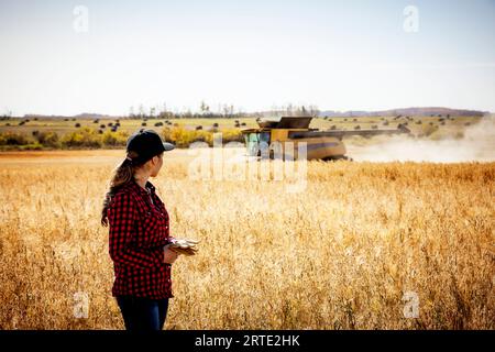 Porträt einer jungen Landwirtschaftsfrau, die zur Erntezeit auf einem Mischkornfeld steht und einen Mähdrescher beobachtet, der im Hintergrund arbeitet Stockfoto