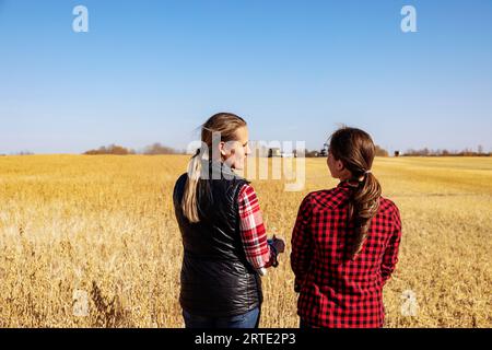 Ein Blick von hinten auf eine reife Landwirtschaftsfrau, die auf einem Feld mit einer jungen Frau zur Erntezeit arbeitet, während ein Mähdrescher in der... Stockfoto