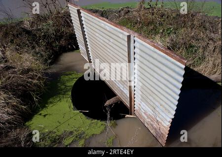 Überlaufleitung auf einem Teich; Ceresco, Nebraska, Vereinigte Staaten von Amerika Stockfoto