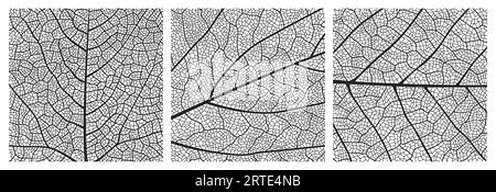 Blattstrukturmuster mit Venen und Zellen. Nahaufnahme des Blatthintergrunds von Vektorpflanzen- oder Baumblättern monochromer Mosaikstruktur, Gefäßgewebe-Makroverzierung von Birken- oder Ahornbaumblättern Stock Vektor