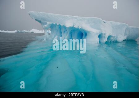 Blaues Eis auf der Antarktischen Halbinsel am Rande des Antarktischen Sunds; Antarktische Halbinsel, Antarktis Stockfoto