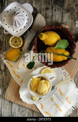 Hausgemachtes Zitroneneis Stockfoto