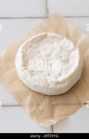 Hausgemachter Camembert Stockfoto