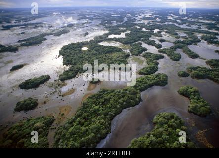 Lagunen und ein Hochwald während der Regenzeit in der Region Pantanal in Brasilien; Pantanal, Brasilien Stockfoto