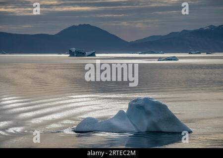 Eisberge schwimmen im ruhigen Wasser des Kong Oscar Fjords mit sonnendurchfluteten Wellen und Silhouettenbergen; Ostgrönland, Grönland Stockfoto