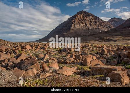 Felsige Landschaft und Berggipfel des Romerfjords; Ostgrönland, Grönland Stockfoto