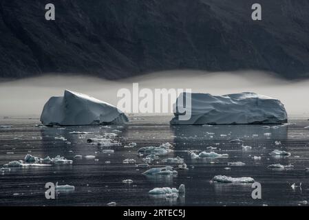 Nahaufnahme von Eisbergen und Growlern, die in den ruhigen Gewässern des Nansen Fjords vor einer Nebelschicht und Silhouettenbergen im Hintergrund schwimmen Stockfoto