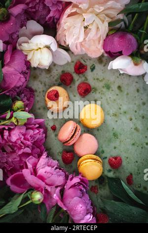 Macarons mit Himbeeren und Pfingstrosen auf grünem Hintergrund Stockfoto