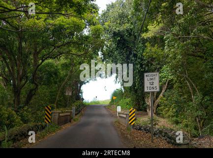 Blick über eine enge Straße, die eine kleine Brücke durch den Wald überquert, auf der Road to Hana, landschaftlich reizvollen Route; Maui, Hawaii, Vereinigte Staaten von Amerika Stockfoto