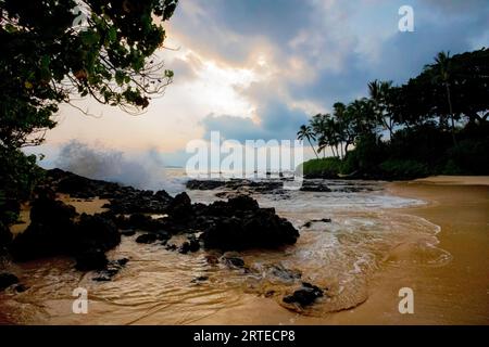 Secret Beach mit Blick durch Silhouetten Palmen und Lavasteine mit Meeresbrandung am Ufer von Makena Cove Stockfoto