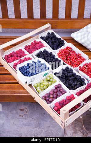 Frische Beeren in Pappschalen Stockfoto
