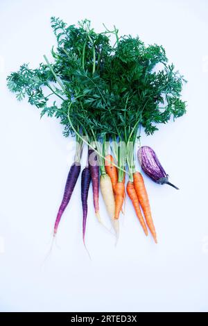 Drei Karotten und eine Aubergine Stockfoto