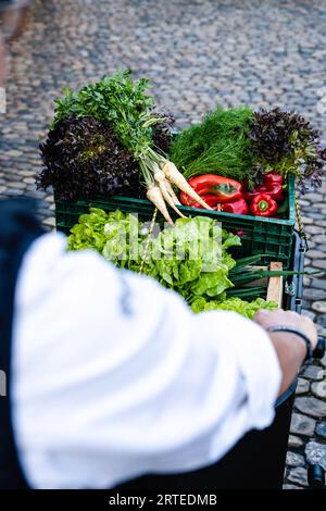 Salat, Petersilienwurzel, Paprika und Dill in Kartons Stockfoto