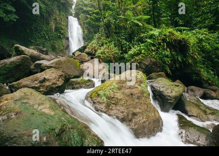 Blick auf die üppige Vegetation und das rauschende Wasser der Trafalgar Falls auf der Karibikinsel Dominica im Morne Trois Pitons Nationalpark Stockfoto