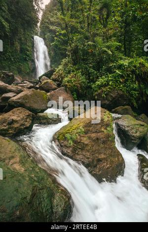 Blick auf die üppige Vegetation und das rauschende Wasser der Trafalgar Falls auf der Karibikinsel Dominica im Morne Trois Pitons Nationalpark Stockfoto