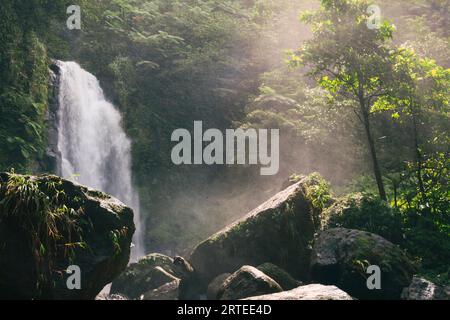 Blick auf das rauschende Wasser der Trafalgar Falls im nebeligen Regenwald auf der Karibikinsel Dominica im Morne Trois Pitons National Park Stockfoto