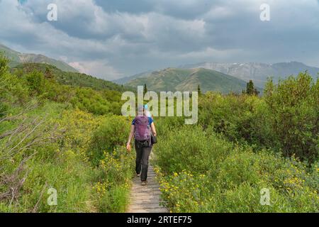 Blick von hinten auf zwei Frauen, die auf einer Promenade im Tombstone Park entlang des Dempster Highway im Yukon Territory, Kanada, spazieren Stockfoto