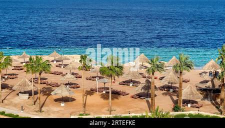Blick auf den tropischen Strand mit Palmen, Sonnenschirmen und tropischem Meer, im tropischen Resort in Sharm el Sheikh, Ägypten. Stockfoto