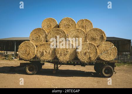 Runde Heuballen, die auf einem Transportwagen in der Nähe von Arthingworth, Northamptonshire, England, Vereinigtes Königreich, geladen werden; Northamptonshire, England Stockfoto