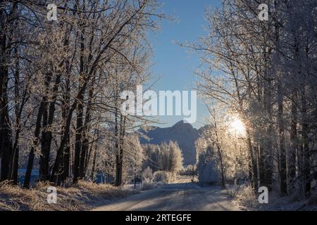 Wintersonne, die durch frostbedeckte Bäume ragt, mit Frost in der Luft, von frostigen Bäumen kommt, entlang einer Straße in Palmer, Alaska, auf einem sonnigen, B... Stockfoto