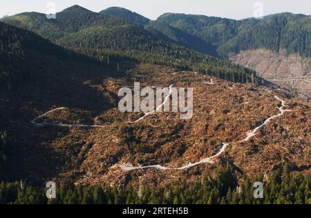 Frische, klare Straßen und Holzfällerstraßen auf der Prince of Wales Island im Tongass National Forest, Alaska, USA Stockfoto