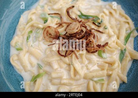 Blick von oben, Käse-Spätzle, Käsespätzle. Mit Pilzen, Sahnesauce und gebratenen Zwiebeln. Stockfoto