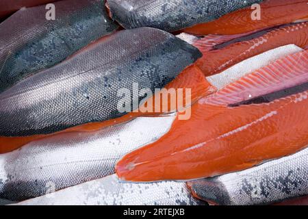 Nahaufnahme frischer Silberlachsfilets (Oncorhynchus kisutch), die in Glacier Bay, Gustavus, Alaska, USA gefangen wurden; Alaska, Vereinigte Staaten von Amerika Stockfoto