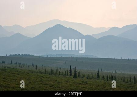 Fernansicht des Mt. McKinley im Denali National Park and Preserve, Alaska, USA; Alaska, Vereinigte Staaten von Amerika Stockfoto