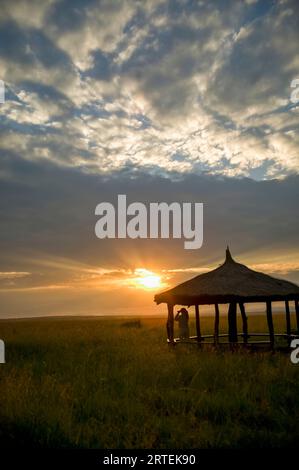 Suche nach Wildtieren bei Sonnenuntergang im Masai Mara National Reserve, Kenia; Kenia Stockfoto