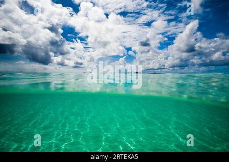 Geteilte Ansicht der Unterwasserwelt, der Oberfläche des Karibischen Meeres und des bewölkten Himmels vor der Insel Aruba; Aruba, Königreich der Niederlande Stockfoto