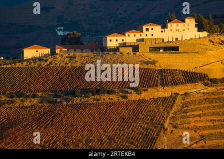 Dorf über Terrassenfeldern in der Nähe von Chanceleiros im Douro-Tal in Portugal; Douro-Tal, Portugal Stockfoto