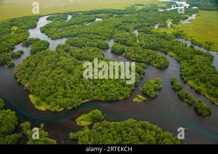 Lachse laichen in den klaren Flüssen des Kronotsky Naturreservats; Kronotsky Zapovednik, Kamtschatka, Russland Stockfoto