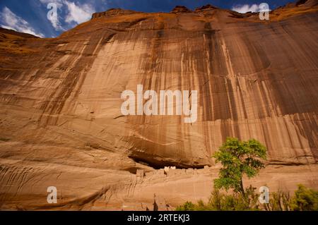 Die Ruine des Weißen Hauses im Canyon de Chelly National Monument, Arizona, USA; Arizona, Vereinigte Staaten von Amerika Stockfoto