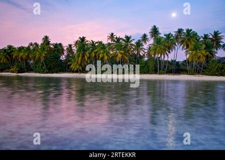 Mondaufgang über dem Pigeon Point Heritage Park auf der Insel Tobago; Tobago, Republik Trinidad und Tobago Stockfoto