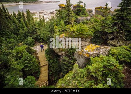 Ein Wanderer spaziert entlang einer Promenade auf der Niapiskau Island im Mingan Archipelago National Park Reserve; Quebec, Kanada Stockfoto