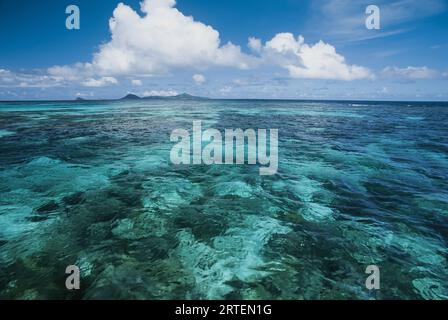 Seichtes blaues Wasser reicht bis zum Horizont; Tobago Cays in der Republik Trinidad und Tobago in Westindien Stockfoto