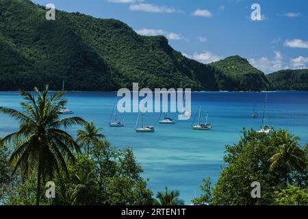 Segelboote schweben im azurblauen Wasser, umgeben von grünen Hügeln und Palmen; Bequia, Saint Vincent und die Grenadinen, Westindien Stockfoto