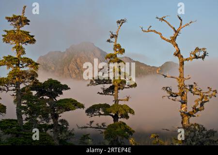 Harbor Mountain entspringt aus der Wolkendecke; Sitka, Alaska, Vereinigte Staaten von Amerika Stockfoto