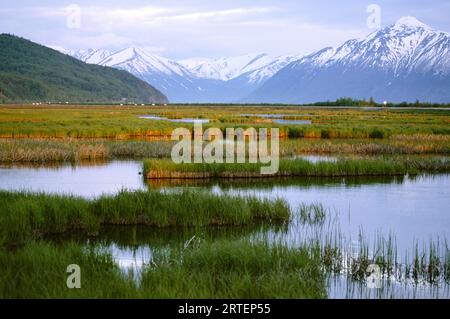 Potter Marsh Under the Chugach Mountains, Turnagain Arm im Anchorage Coastal Wildlife Refuge, Alaska, USA; Alaska, Vereinigte Staaten von Amerika Stockfoto