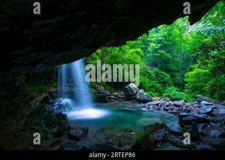 Wasserfall der Grotto Falls am Roaring Fork Creek, Great Smoky Mountains National Park, Tennessee, USA; Tennessee, USA Stockfoto