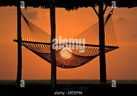Hängematte mit Silhouette bei Sonnenuntergang unter einem Schutzdach in einem Resort auf Turneffe Island; Turneffe Island, Belize Stockfoto