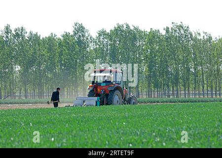 LUANNAN COUNTY, Provinz Hebei, China - 5. Mai 2019: Landwirte fahren Traktoren, um auf den Feldern zu arbeiten. Stockfoto