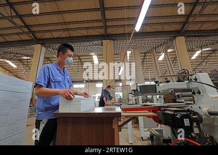 Luannan County - 10. Mai 2019: Arbeiter sind beschäftigt auf der Produktionslinie in der Fabrik, Luannan County, Provinz Hebei, China. Stockfoto