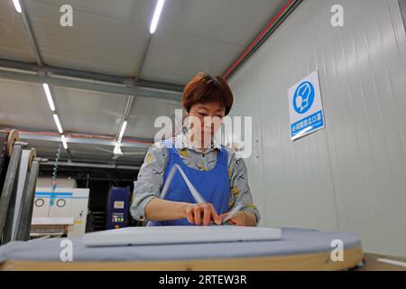 Luannan County - 10. Mai 2019: Arbeiter sind beschäftigt auf der Produktionslinie in der Fabrik, Luannan County, Provinz Hebei, China. Stockfoto