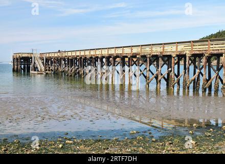 Vintage restaurierte lange hölzerne Pier mit Barnakenkrusten Holzpfählen, die bei Ebbe an einem sonnigen Tag im pazifischen Nordwesten Puget Sound vollständig freigelegt sind Stockfoto