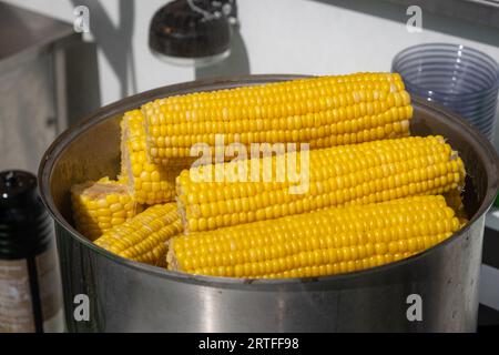 Ein Straßenhändler kocht Mais in einem Topf und verkauft ihn. Stockfoto