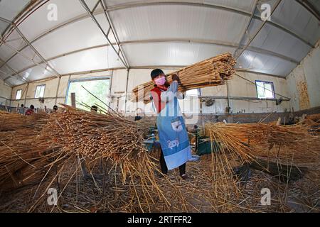 Luannan County - 31. Mai 2019: Arbeiter tragen Schilfvorhänge, Luannan County, Provinz Hebei, China Stockfoto