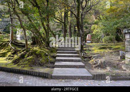 Kagoshima, Japan. März 2023. Naturwanderwege in Mount Shiroyama (Bildausschnitt: © Taidgh Barron/ZUMA Press Wire) NUR REDAKTIONELLE NUTZUNG! Nicht für kommerzielle ZWECKE! Stockfoto